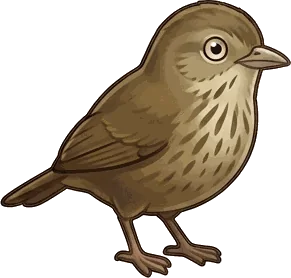 Wrentit illustration