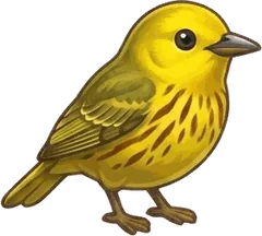 Yellow Warbler illustration