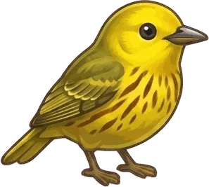Yellow Warbler illustration
